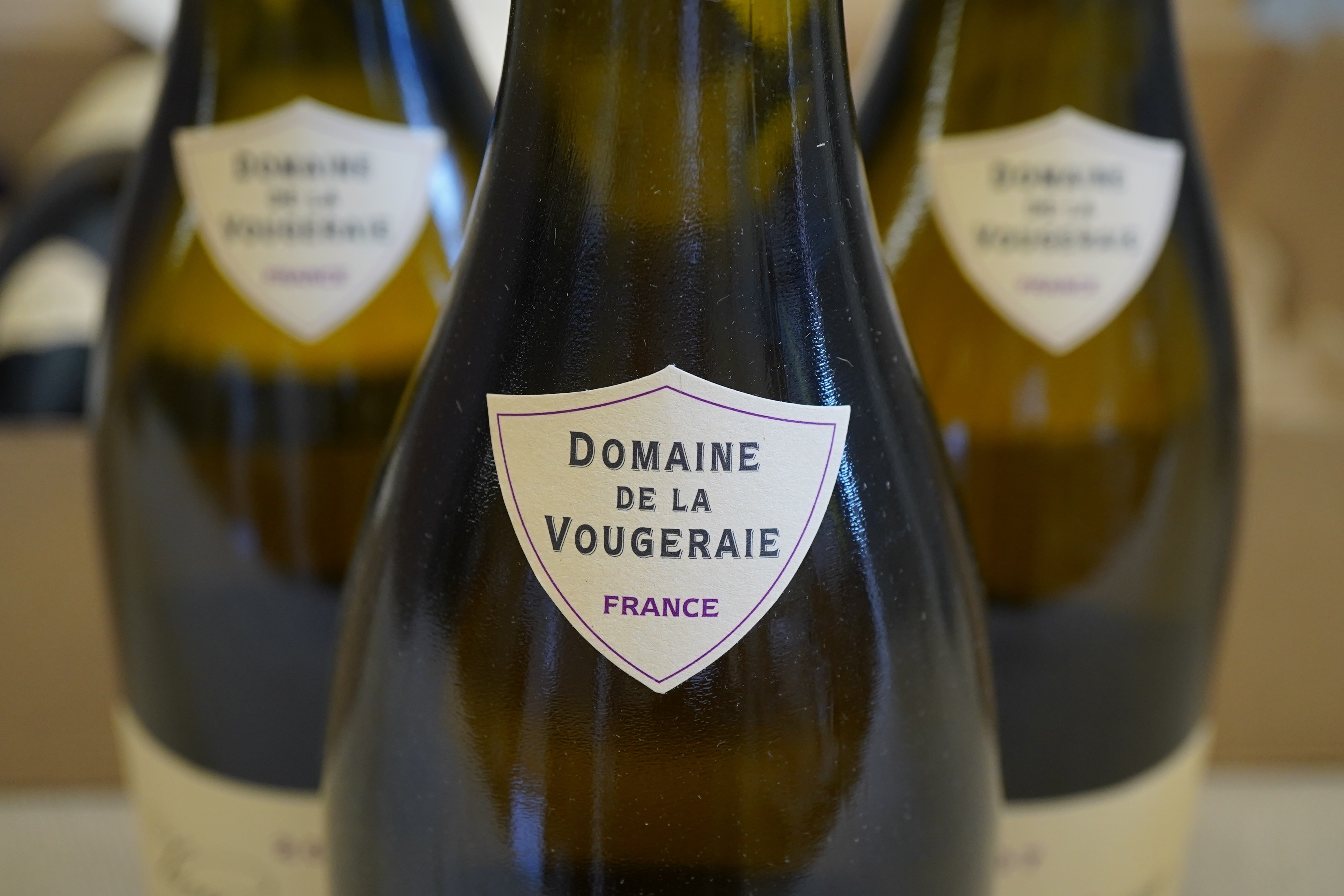 Domaine de la Vougeraie, 'Le Clos Blanc de Vougeot, Monopole', 2007